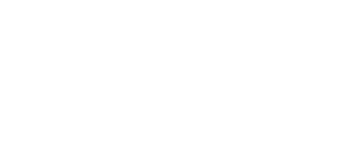 LOGO geometraPIGOLI ESECUTIVO white